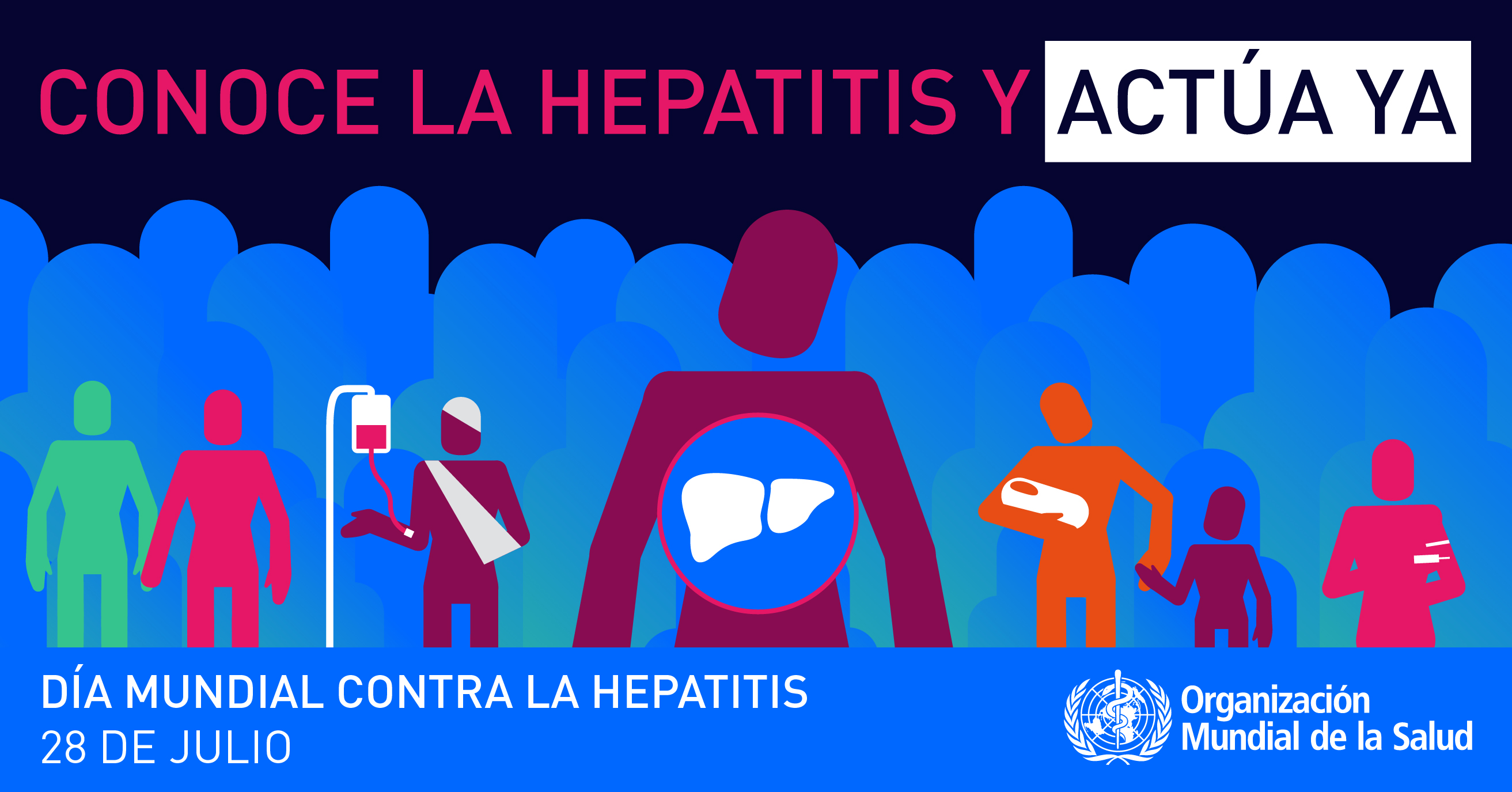 dia mundial hepatitis2016 630