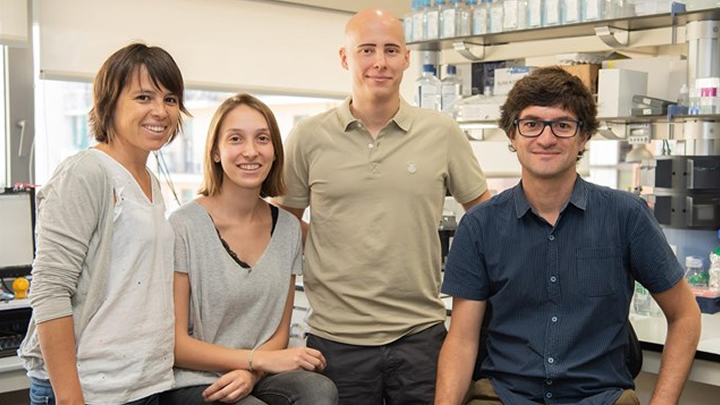 Crean células hepáticas, a partir de células madre