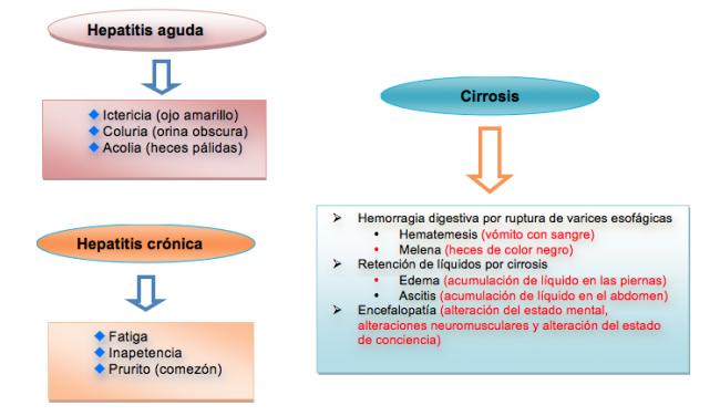 sintomas y signos 2