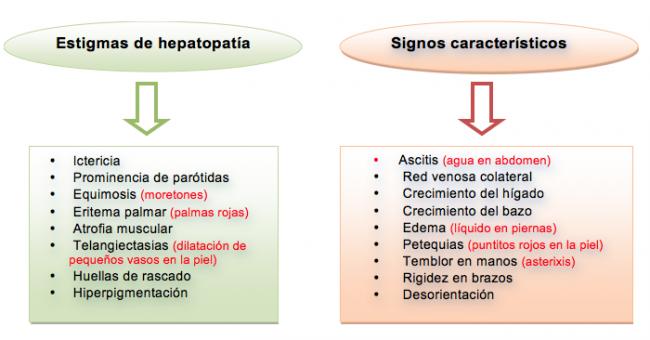 sintomas y signos 4