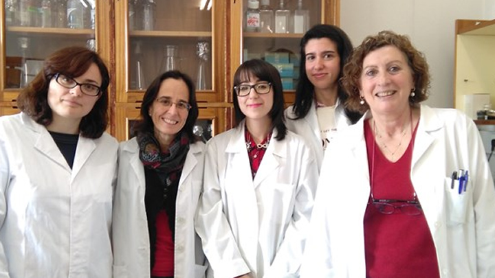 Descubren una proteína clave para el funcionamiento del hígado