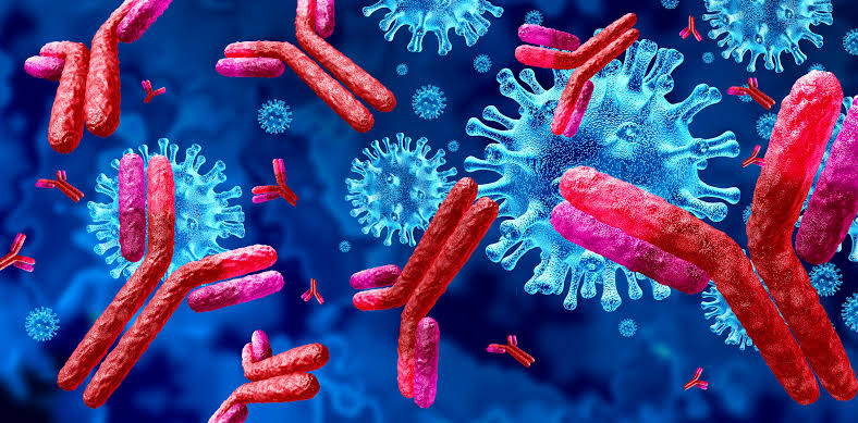 HEPATITIS B: LOS CONTROLADORES NATURALES Y LOS MECANISMOS DE INMUNIDAD