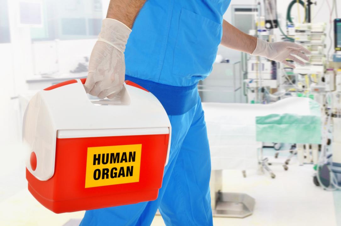 SONORA, PRIMER ESTADO EN REACTIVAR LA DONACIÓN DE ÓRGANOS A NIVEL NACIONAL