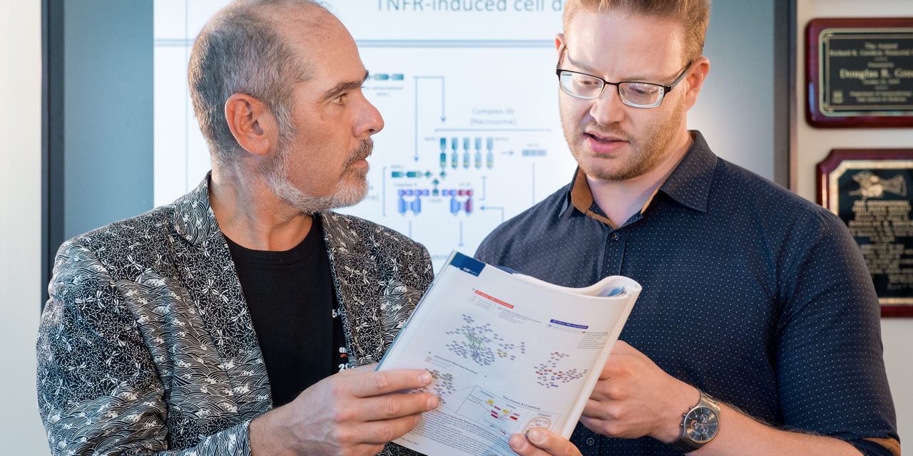 EFECTOS DE EMRICASAN, DE NOVARTIS, EN FIBROSIS HEPÁTICA F1-F3