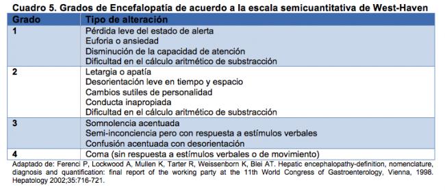 fases de la cirrosis x